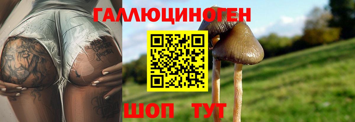 Хабаровск  Галлюциногенные грибы прущие грибы  купить  сайты  Галлюциногенные грибы Psilocybe  Вход с VPN 